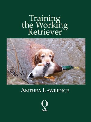 cover image of Training the Working Retriever